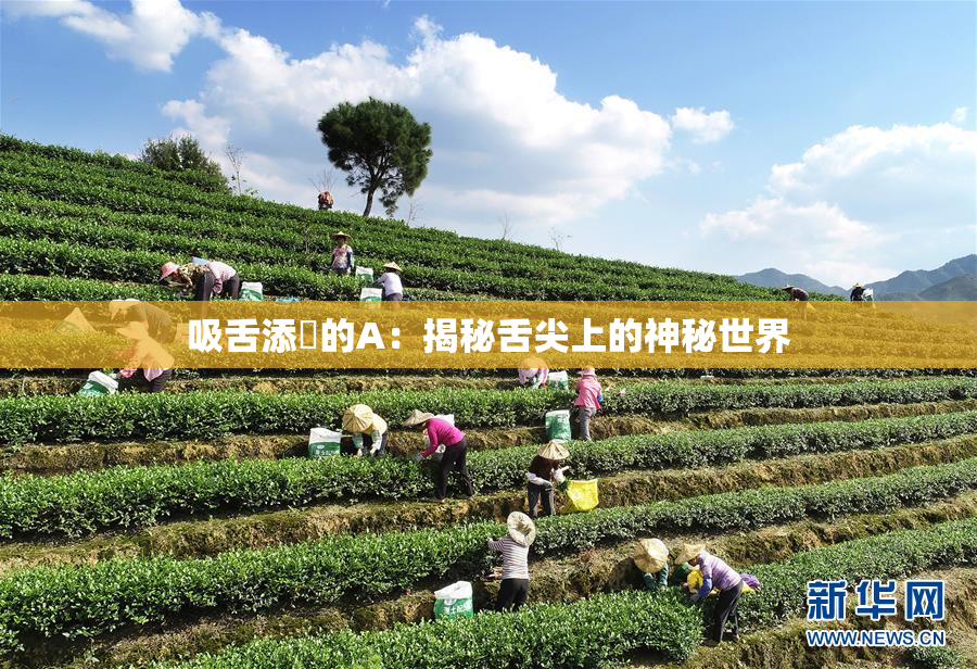 吸舌添泬的A：揭秘舌尖上的神秘世界