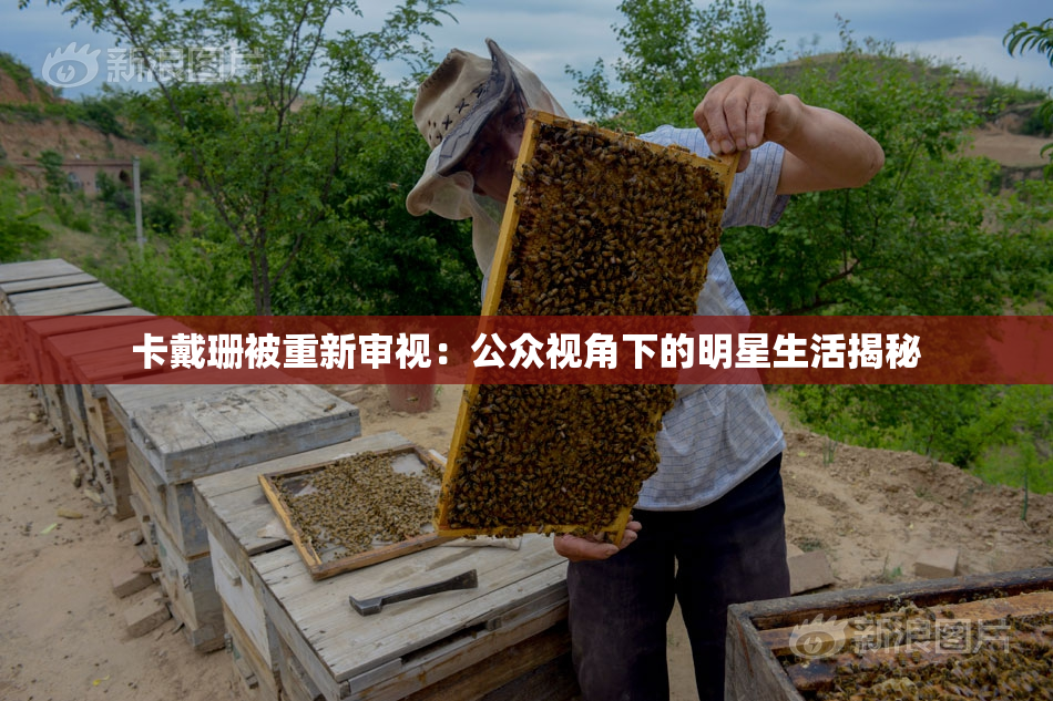 卡戴珊被重新审视：公众视角下的明星生活揭秘