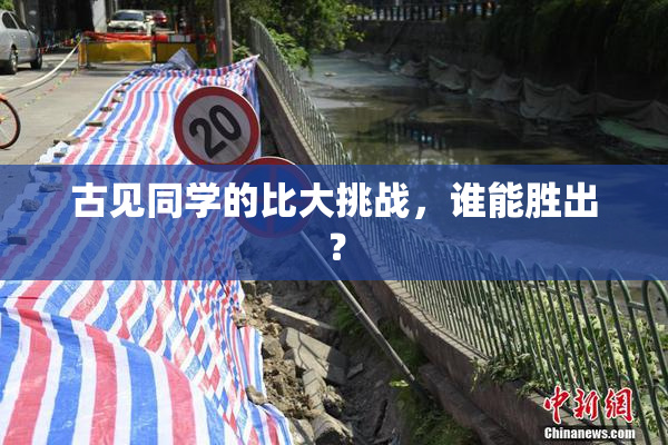 古见同学的比大挑战，谁能胜出？