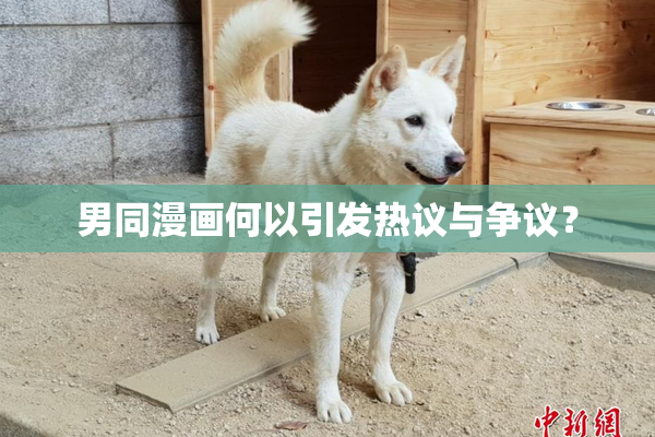 男同漫画何以引发热议与争议？