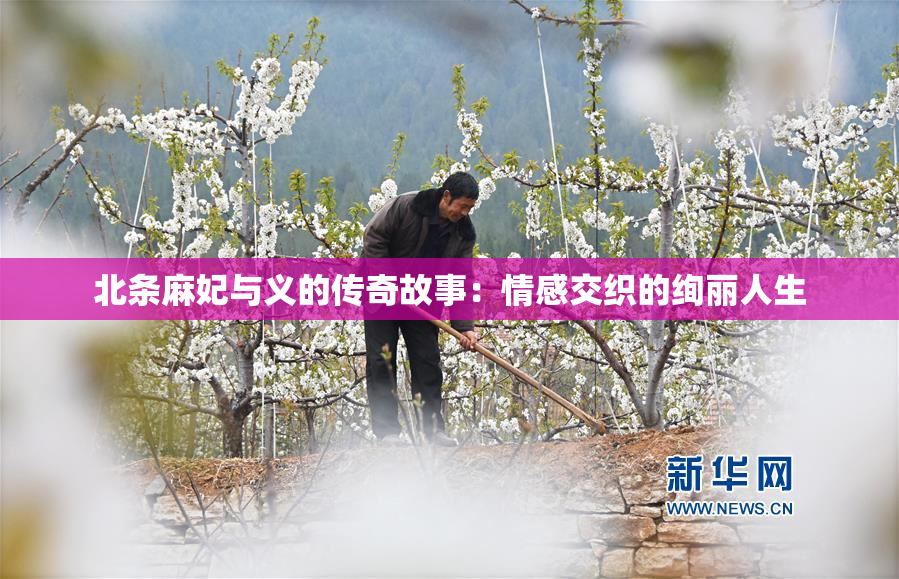 北条麻妃与义的传奇故事：情感交织的绚丽人生
