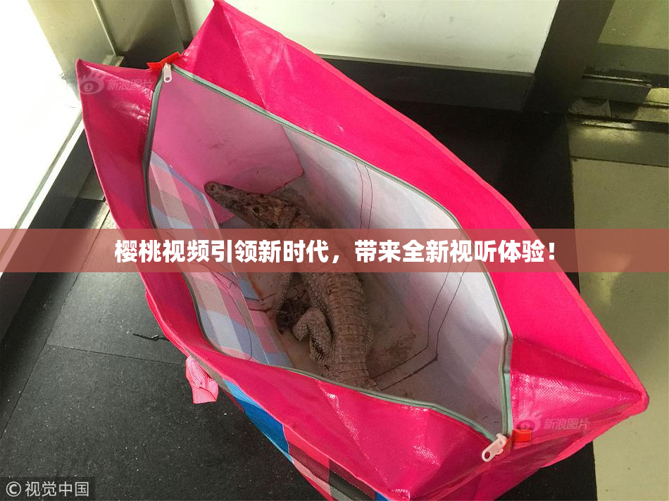 樱桃视频引领新时代，带来全新视听体验！