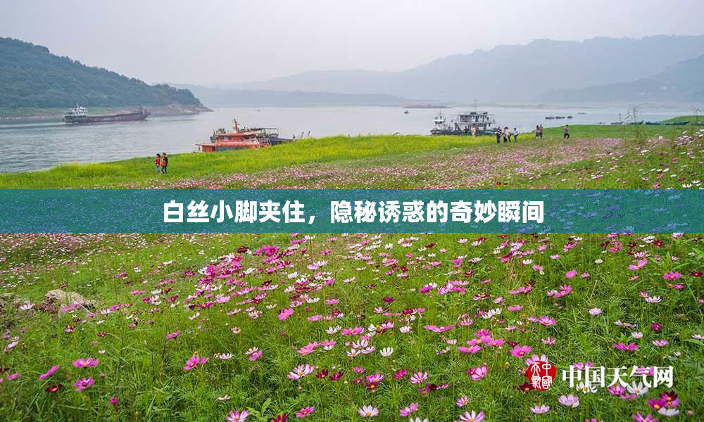 白丝小脚夹住，隐秘诱惑的奇妙瞬间