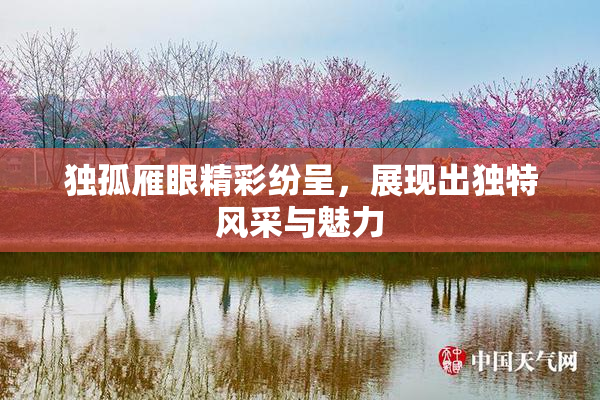 独孤雁眼精彩纷呈，展现出独特风采与魅力
