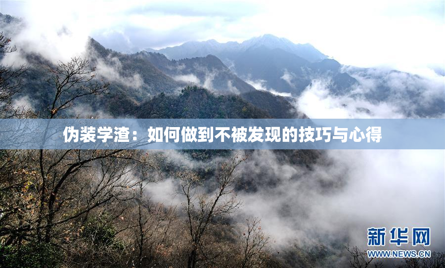 伪装学渣：如何做到不被发现的技巧与心得