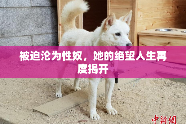 被迫沦为性奴，她的绝望人生再度揭开