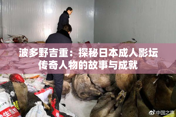 波多野吉重：探秘日本成人影坛传奇人物的故事与成就