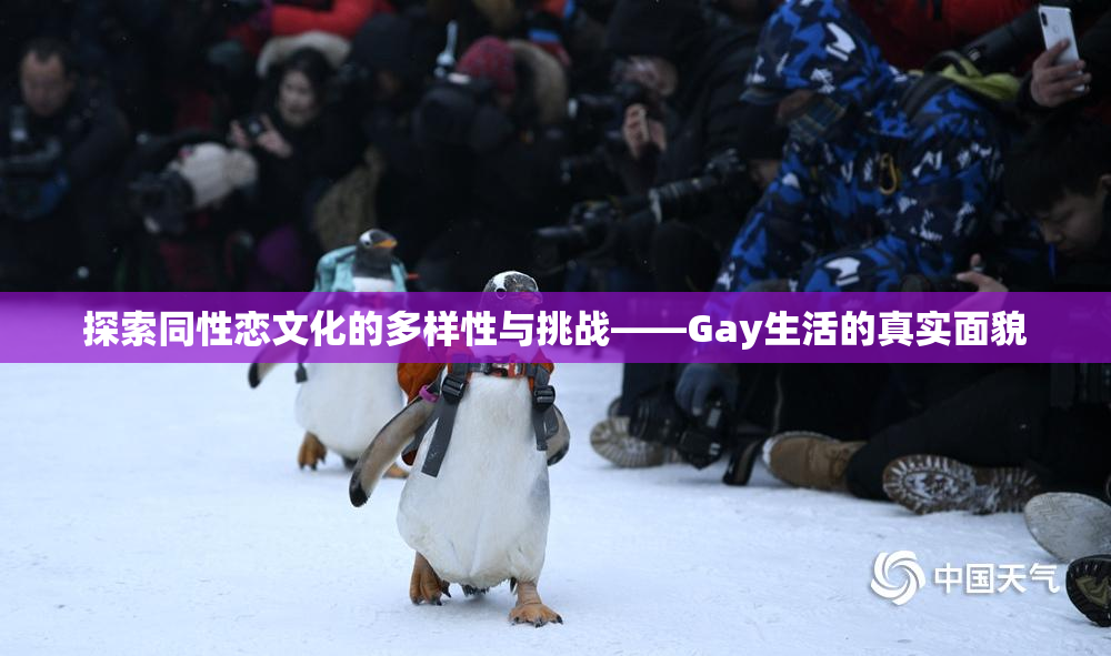 探索同性恋文化的多样性与挑战——Gay生活的真实面貌
