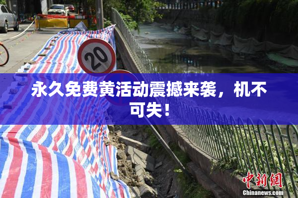 永久免费黄活动震撼来袭，机不可失！