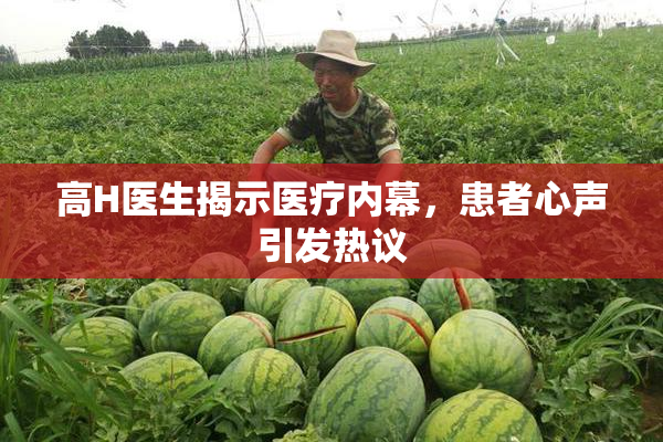 高H医生揭示医疗内幕，患者心声引发热议