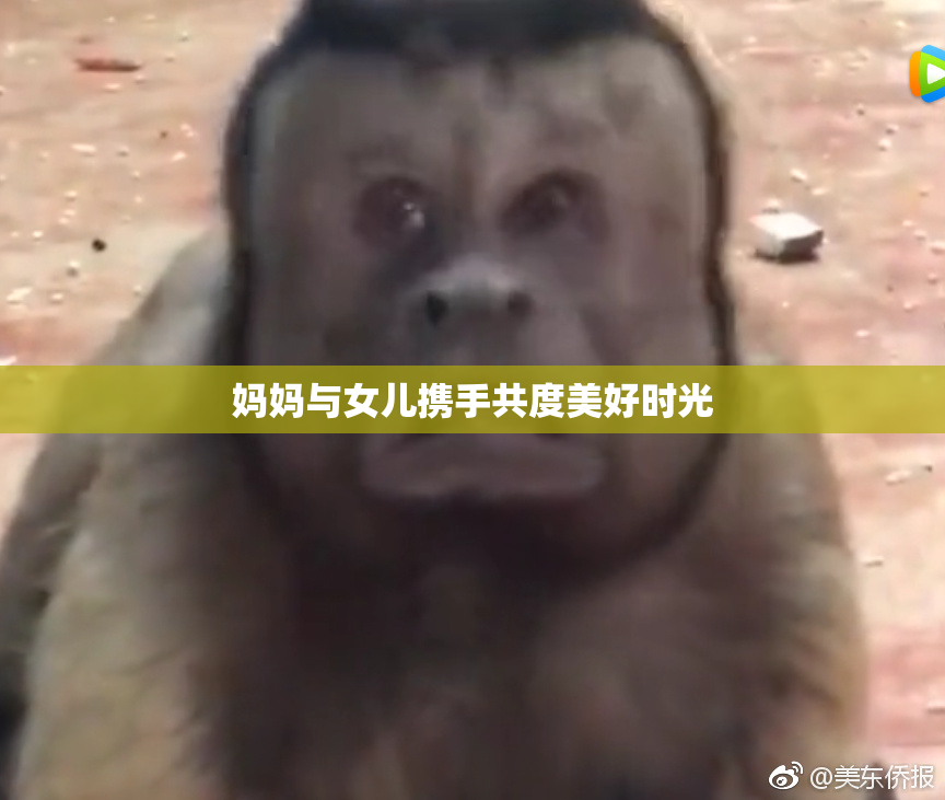 妈妈与女儿携手共度美好时光