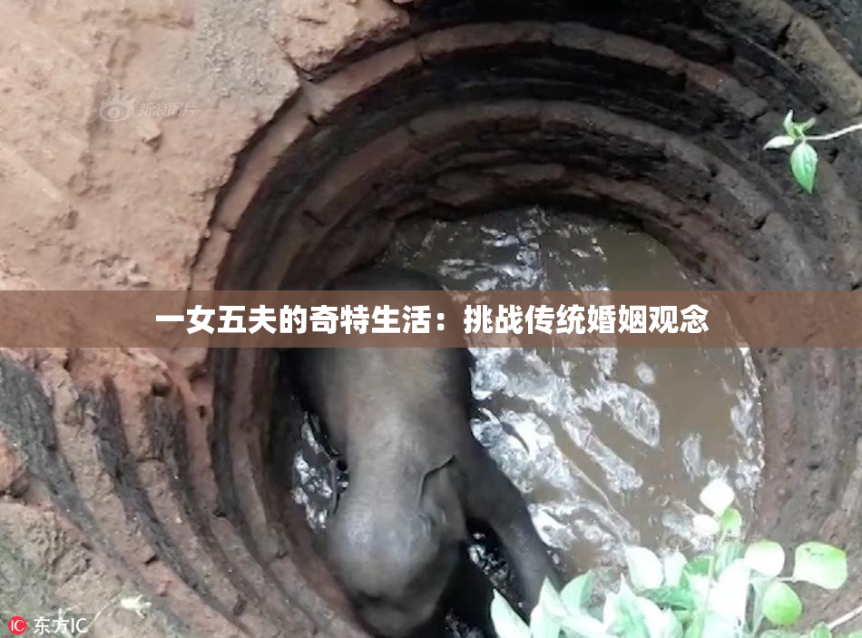 一女五夫的奇特生活：挑战传统婚姻观念