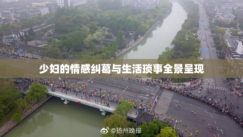 少妇的情感纠葛与生活琐事全景呈现