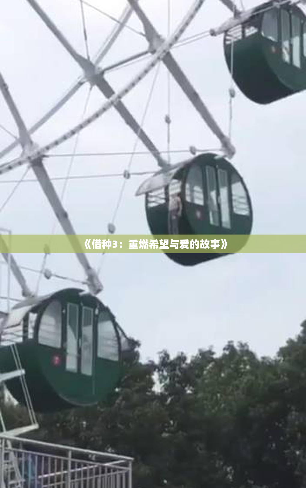 《借种3：重燃希望与爱的故事》