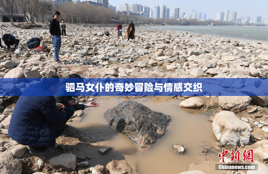 驷马女仆的奇妙冒险与情感交织