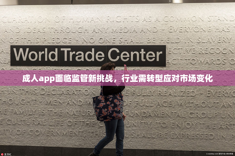 成人app面临监管新挑战，行业需转型应对市场变化