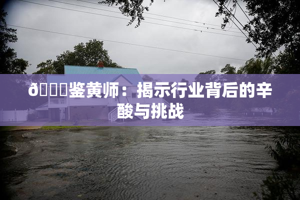 🔞鉴黄师：揭示行业背后的辛酸与挑战
