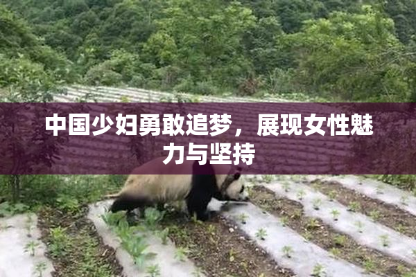 中国少妇勇敢追梦，展现女性魅力与坚持
