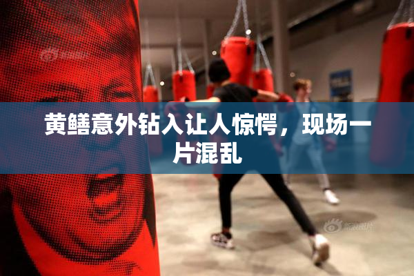 黄鳝意外钻入让人惊愕，现场一片混乱