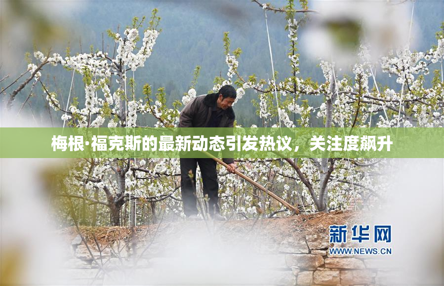 梅根·福克斯的最新动态引发热议，关注度飙升