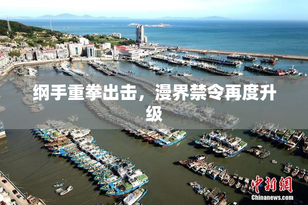 纲手重拳出击，漫界禁令再度升级