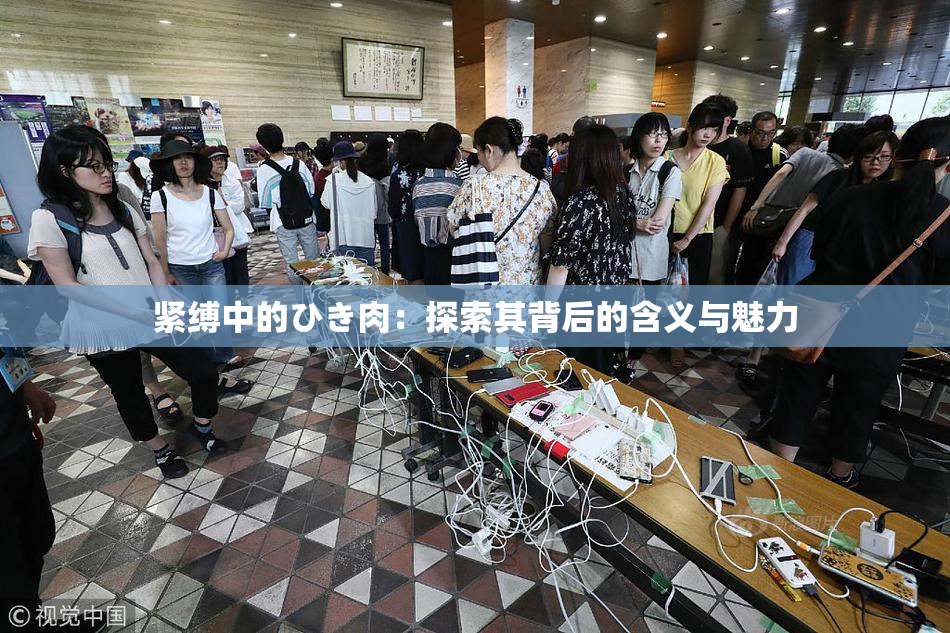 紧缚中的ひき肉：探索其背后的含义与魅力