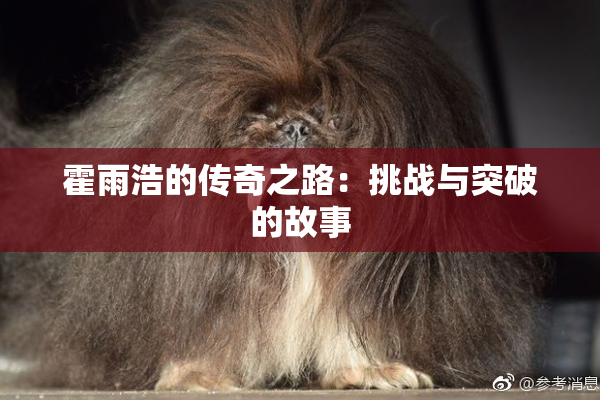 霍雨浩的传奇之路：挑战与突破的故事