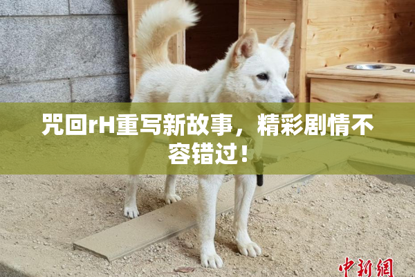 咒回rH重写新故事，精彩剧情不容错过！