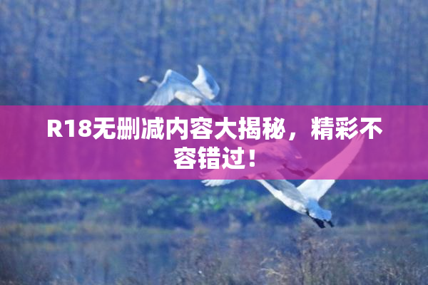 R18无删减内容大揭秘，精彩不容错过！