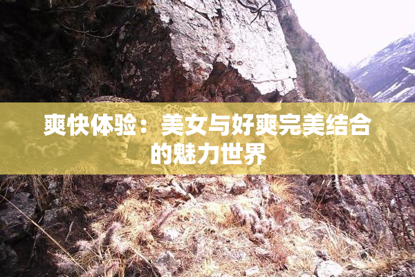 爽快体验：美女与好爽完美结合的魅力世界