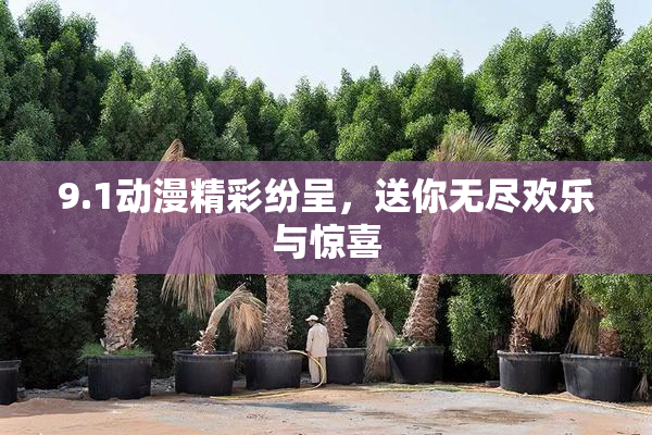 9.1动漫精彩纷呈，送你无尽欢乐与惊喜