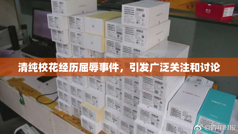 清纯校花经历屈辱事件，引发广泛关注和讨论