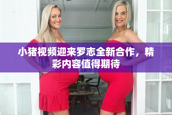 小猪视频迎来罗志全新合作，精彩内容值得期待