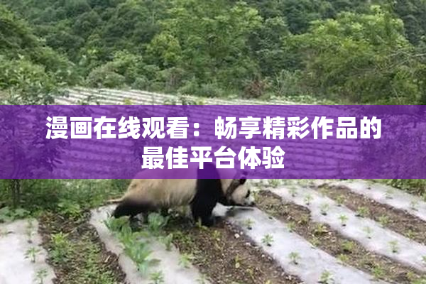漫画在线观看：畅享精彩作品的最佳平台体验
