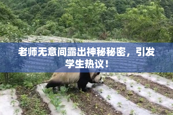 老师无意间露出神秘秘密，引发学生热议！