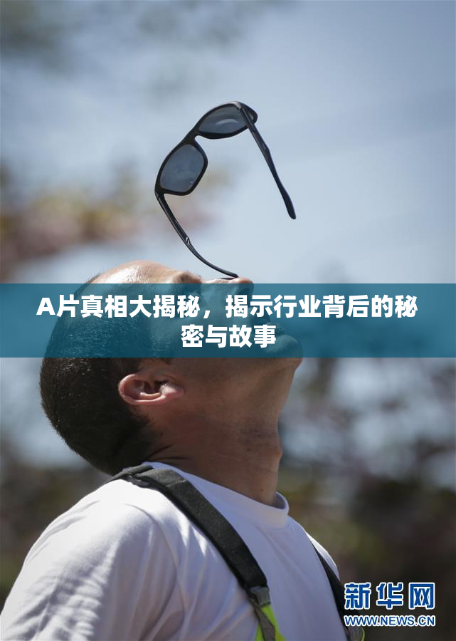 A片真相大揭秘，揭示行业背后的秘密与故事
