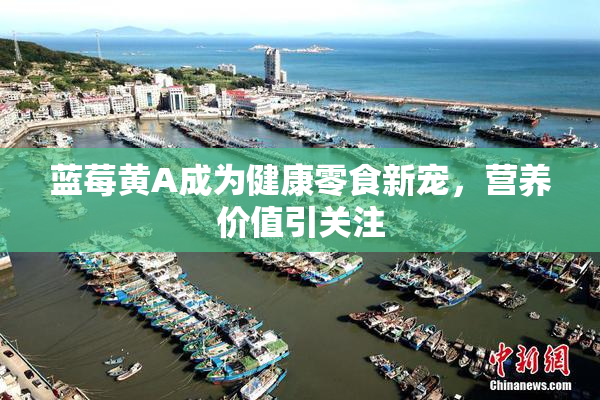 蓝莓黄A成为健康零食新宠，营养价值引关注