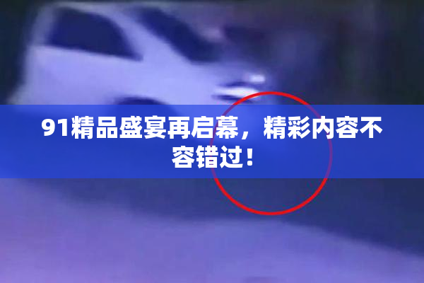91精品盛宴再启幕，精彩内容不容错过！