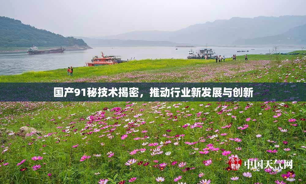 国产91秘技术揭密，推动行业新发展与创新