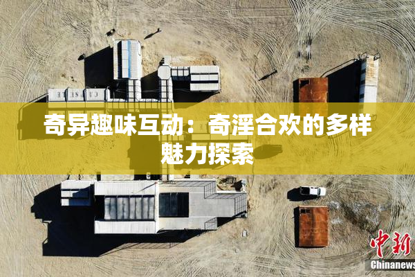 奇异趣味互动：奇淫合欢的多样魅力探索