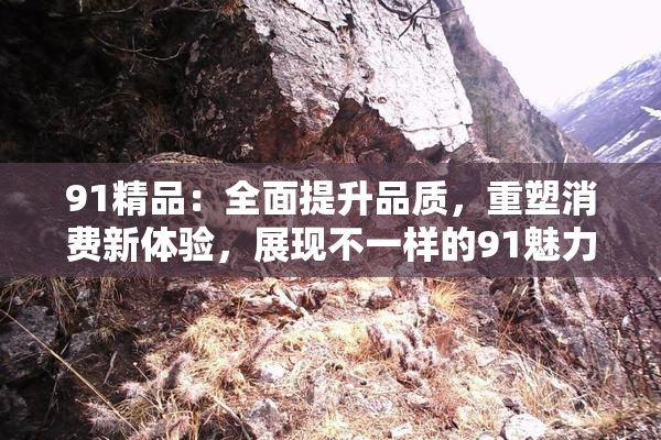 91精品：全面提升品质，重塑消费新体验，展现不一样的91魅力