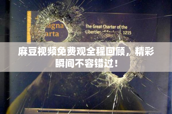 麻豆视频免费观全程回顾，精彩瞬间不容错过！