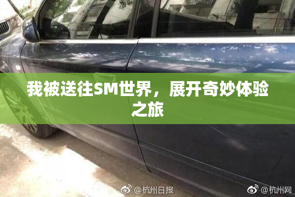我被送往SM世界，展开奇妙体验之旅