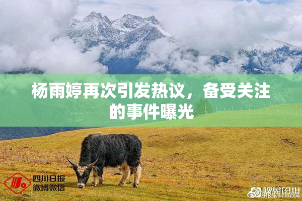 杨雨婷再次引发热议，备受关注的事件曝光