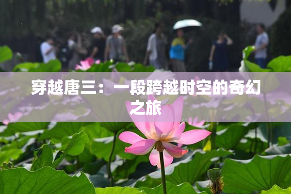 穿越唐三：一段跨越时空的奇幻之旅