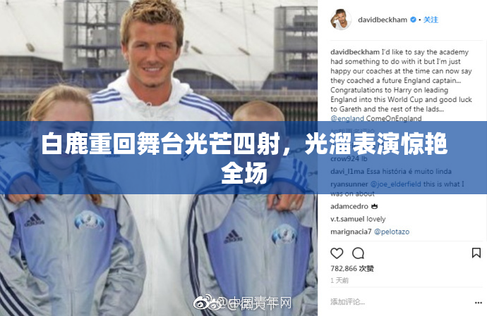白鹿重回舞台光芒四射，光溜表演惊艳全场