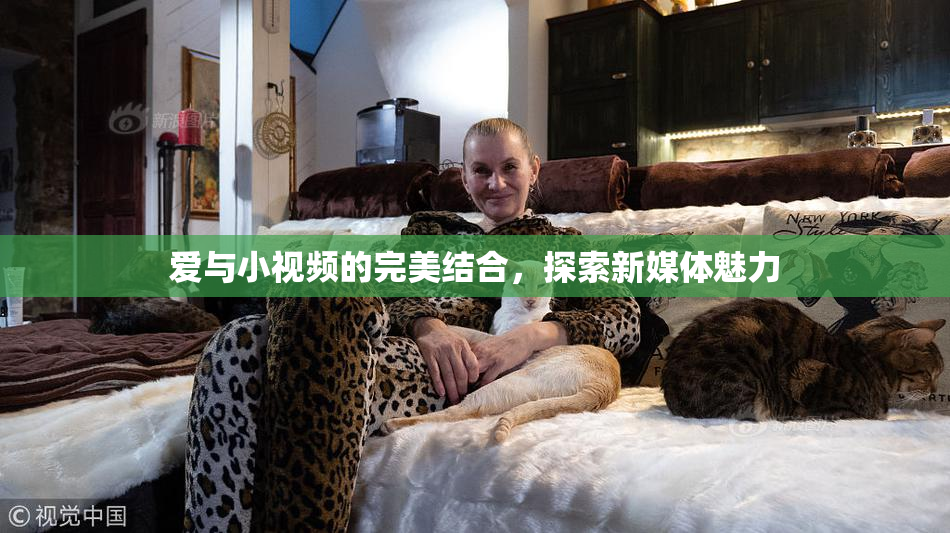 爱与小视频的完美结合，探索新媒体魅力
