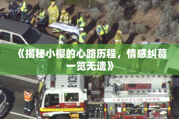 《揭秘小樱的心路历程，情感纠葛一览无遗》