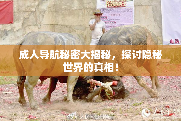 成人导航秘密大揭秘，探讨隐秘世界的真相！