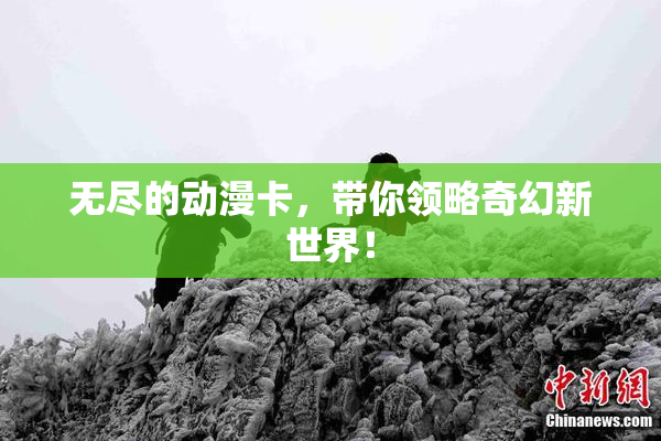 无尽的动漫卡，带你领略奇幻新世界！